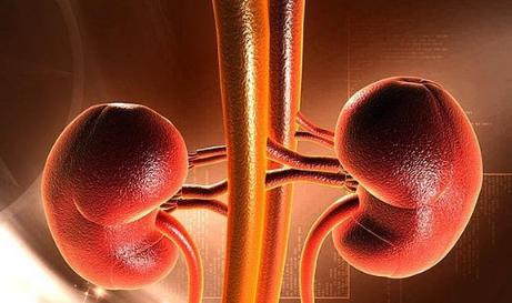 Ϊʲôÿ��Ⱥܶ�ˮ����������ʯ �����ᾧ��������ʯ��ô��